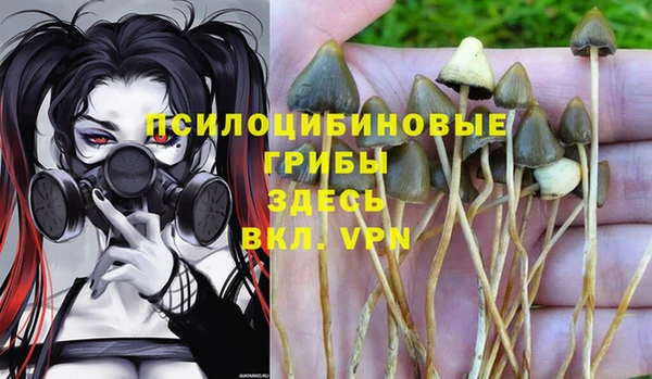 каннабис Баксан