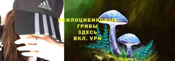 молекула духа Балабаново